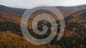 Aerial shot of orange-red and green forests at sunset in Slovak forests. Autumn fairy tale. Variety and colourfulness of nature