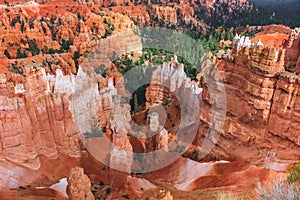 Aerial shot of a rocky mountain canyon with red soil and covered in evergreen forests