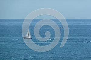 Aerial shot of a sailboat in blue sea under clear sky