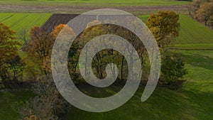 Aerial shot of trees in hedgerow, vibrant autumn foliage