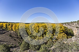 Aerial shot of trees in the Senda de la Vega park in Segovia, Spain photo