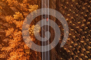 Aerial shot of two cars passing by each other on the road through deciduous forest in fall afternoon