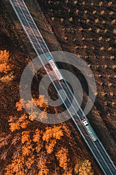 Aerial shot of two trucks on the road through deciduous forest in fall afternoon, drone pov top down