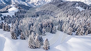 Aerial shot of a winter season snowy mountain forest. Breathtaking natural landscape, frozen forest