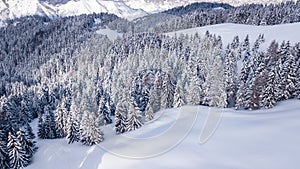 Aerial shot of a winter season snowy mountain forest. Breathtaking natural landscape, frozen forest