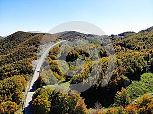 Aerial shot of a yellowed road