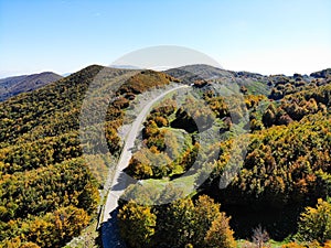 Aerial shot of a yellowed road