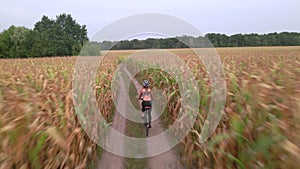 Aerial shot of young sport woman rides bicycle on countryside corn field road at summer evening. Healthy cycling