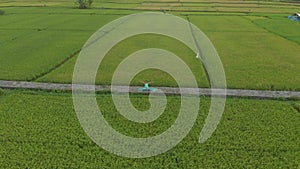 Aerial shot of a young woman doing meditation for Muladhara chakra in a Balinese way