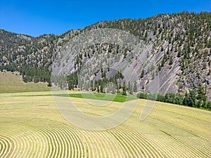 Aerial Similkameen Valley Agriculture Harvest Alfalfa British Columbia Landscape