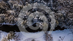 Aerial of Snow Covered Pine Trees - Shawnee State Forest - Ohio