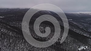 Aerial Snow Covered Trees Drone Footage Landscape Winter Nature. Shot. Snowy tree branch in a view of the winter forest