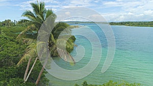 AERIAL: Stunning palm trees and emerald ocean ornate tropical island scenery