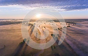 Aerial sunrise with fog at the tree tops in the rural countryside