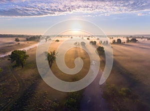 Aerial sunrise with fog at the tree tops in the rural countryside