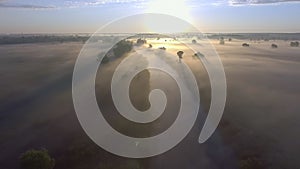 Aerial sunrise with fog at the tree tops in the rural countryside