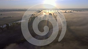 Aerial sunrise with fog at the tree tops in the rural countryside