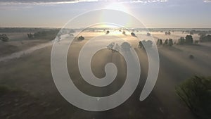 Aerial sunrise with fog at the tree tops in the rural countryside