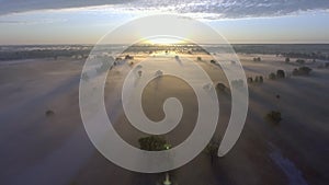 Aerial sunrise with fog at the tree tops in the rural countryside