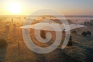 Aerial from sunrise in the forest from Friesland in the Netherlands