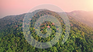 Aerial sunrise over green peaks mountains. Trees are flooded with sunlight, landscape slow motion.