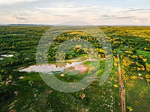 Aerial sunset landscape of pond in the countryside during summer in Mato Grosso