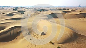 Aerial survey drone flies over the desert, the Bedouin with a camel goes through the desert