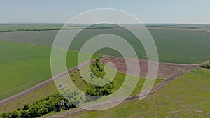 Aerial survey of the field with green shoots. Field of winter wheat from aerial photography. Agriculture. Grain crops