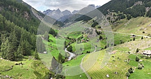 Aerial of swiss mountain rage and meadow field. Small river runniing through green landscape. Beautifull alps aerial and