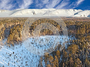 Aerial taiga photo