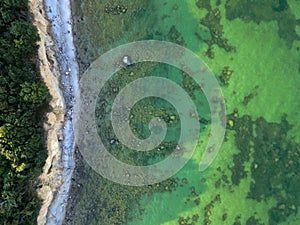 Aerial top down of coast on the Island of Rugen in Mecklenberg Vorpommern