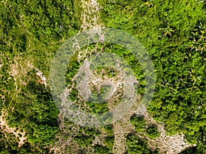 Aerial top down of forest in Bom Jardim during summer in Nobres countryside in Mato Grosso