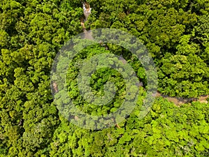 Aerial top down of forest and river in Parque Mae Bonafacia park in Cuiaba Mato Grosso