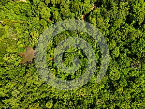 Aerial top down of forest and river in Parque Mae Bonafacia park in Cuiaba Mato Grosso