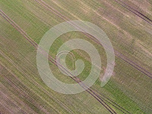 Aerial top down of grassy meadow with geometric pattern in Brandenburg