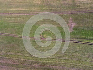 Aerial top down of grassy meadow with geometric pattern in Brandenburg