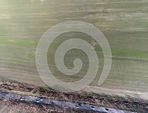 Aerial top down of grassy meadow with geometric pattern in Brandenburg