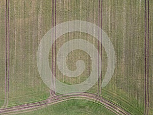 Aerial top down of grassy meadow with geometric pattern in Brandenburg