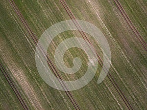 Aerial top down of grassy meadow with geometric pattern in Brandenburg