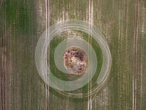 Aerial top down of grassy meadow with geometric pattern in Brandenburg