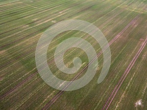 Aerial top down of grassy meadow with geometric pattern in Brandenburg