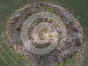 Aerial top down of grassy meadow with pile of weeds in Brandenburg