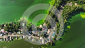 Aerial top down of green algae polluted river water near fishermen village