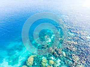 Aerial top down people snorkeling on coral reef tropical caribbean sea, turquoise blue water. Indonesia Wakatobi archipelago,