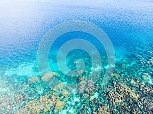 Aerial top down people snorkeling on coral reef tropical caribbean sea, turquoise blue water. Indonesia Wakatobi archipelago,