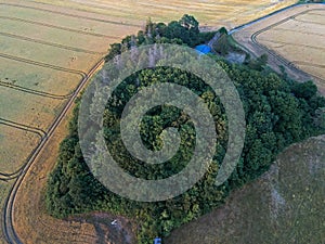 Aerial top down of rapeseed canola oil field on the Island of Rugen in Mecklenberg Vorpommern