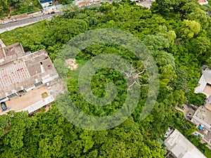 Aerial top down tropical treetop view in park Mae Bonifacia in summer in Cuiaba Mato Grosso