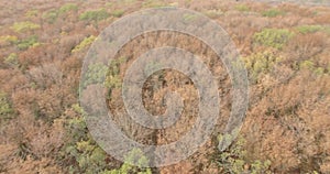 Aerial top down view of autumn forest with green and yellow trees. City Park. Stavropol. Caucasus.