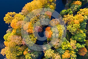 Aerial top down view of autumn forest with green and yellow trees. Mixed deciduous and coniferous forest