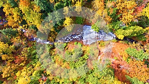 Aerial Top Down View of Autumn Forest and Serene Stream in Michigan